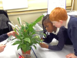 Learning about plants and observing closely